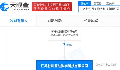 蘇寧控股布局?jǐn)?shù)字文化新領(lǐng)域 檸川互動數(shù)字公司成立，拓展健身休閑與數(shù)字文創(chuàng)